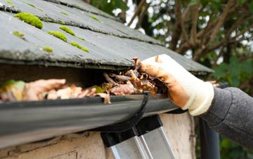 gutter cleaning Mount Vernon, Glasgow City